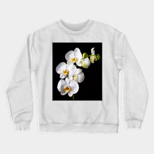 Gorgeous White Orchids Crewneck Sweatshirt